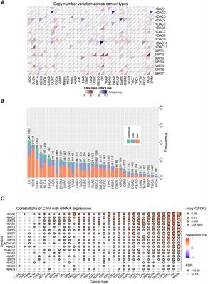 Characterizing HDAC Pathway Copy Number Variation in Pan-Cancer